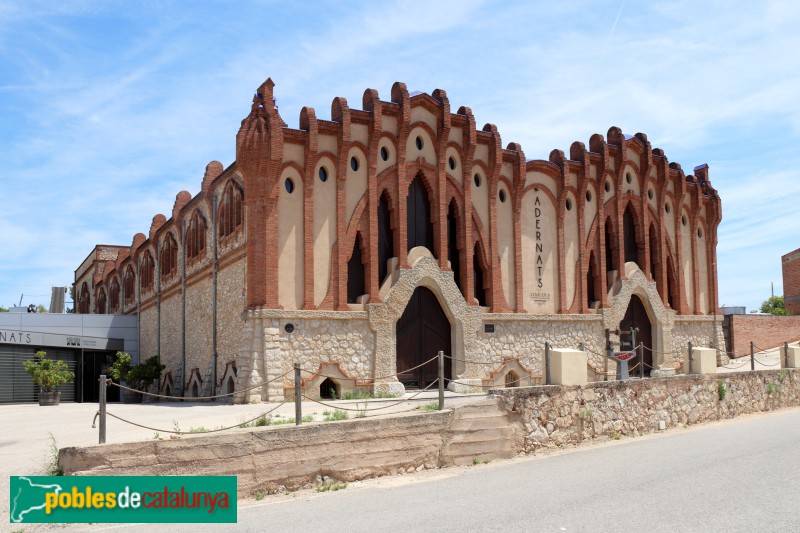 Nulles - Celler Cooperatiu (Vinícola Adernats)