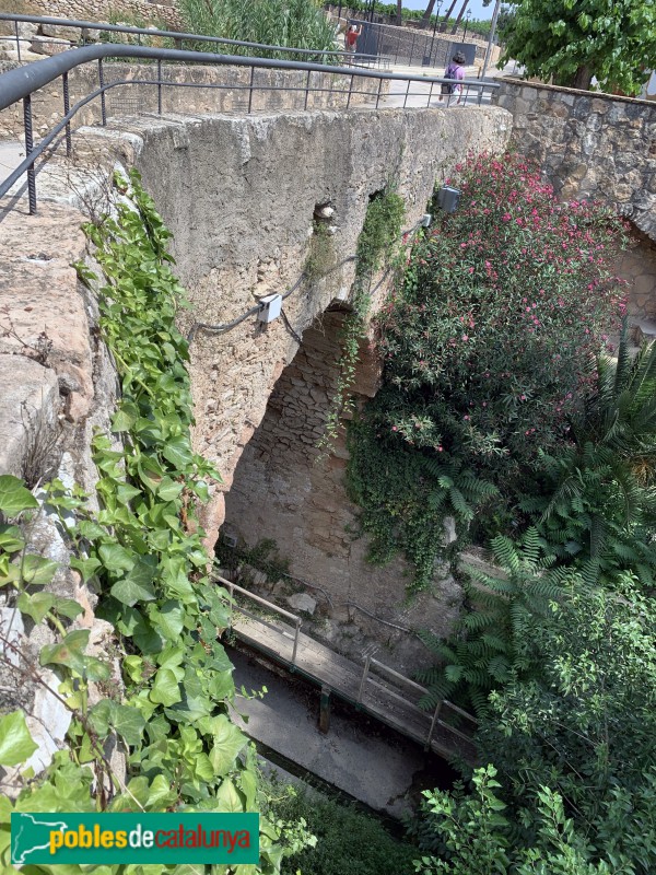 Vallmoll - Pont de la Rasa