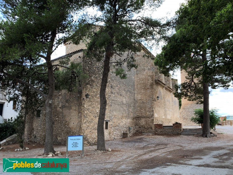 L'Aldea - Ermita de la Mare de Déu de l'Aldea