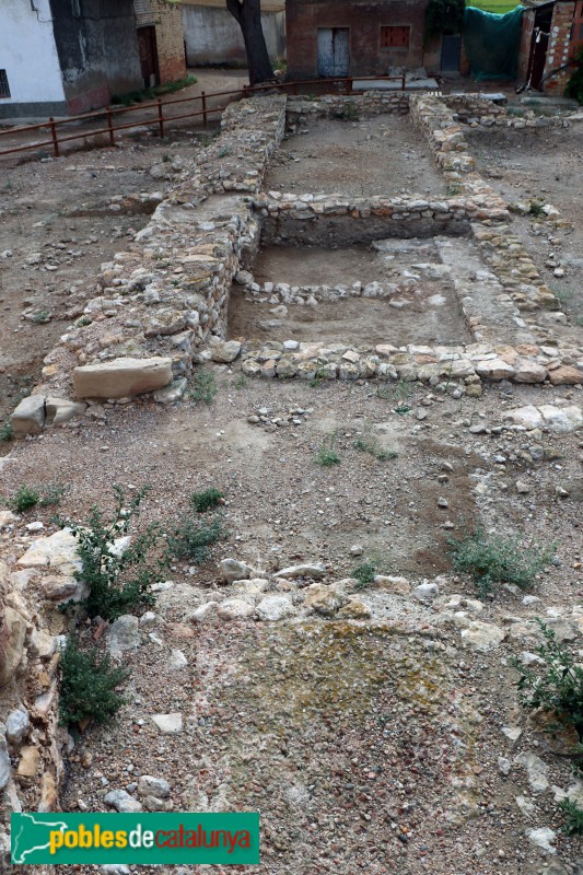 L'Aldea - Restes del castell de l'Aldea