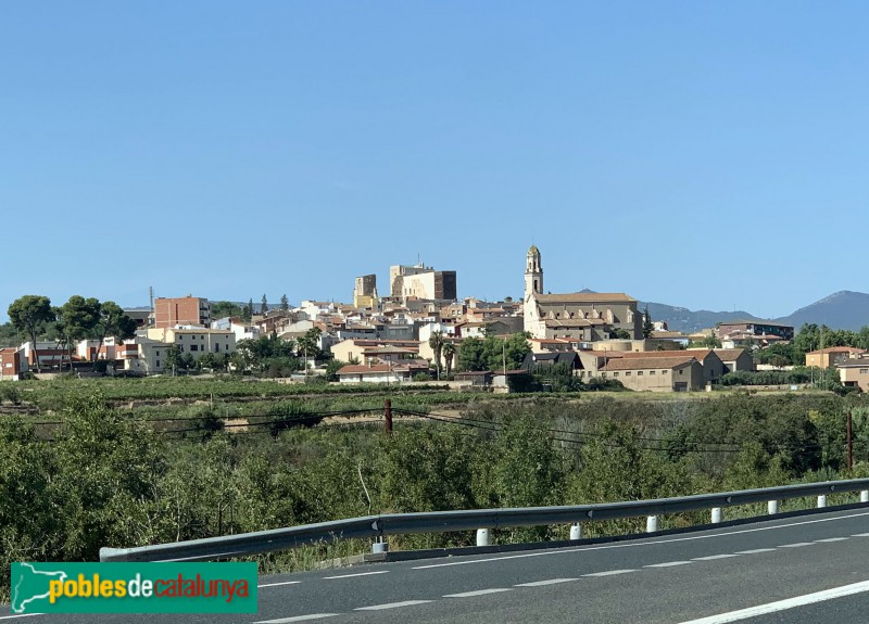 Vallmoll - Panoràmica del poble, amb l'església i el castell