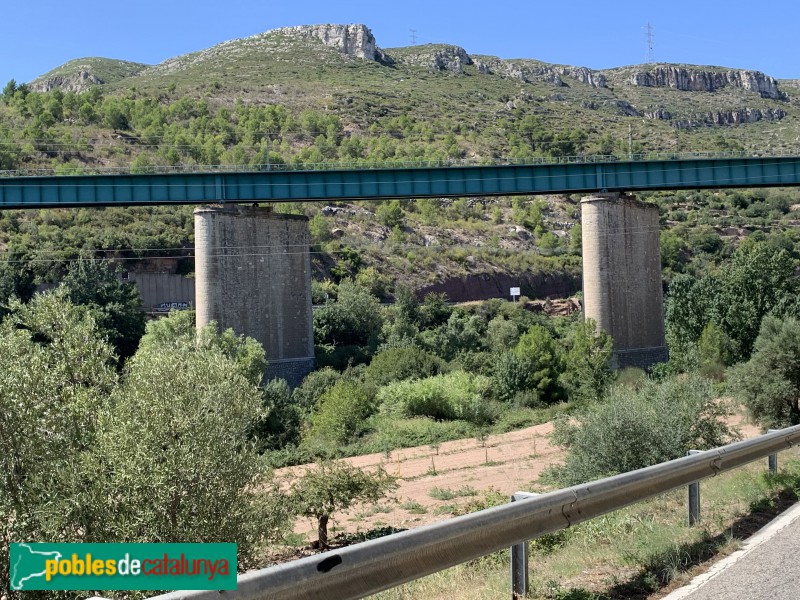 Valls - Pont de les Roixel·les (Picamoixons)