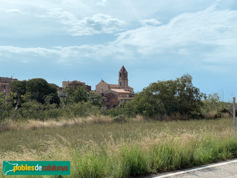 Valls - Església de Sant Salvador (Picamoixons)