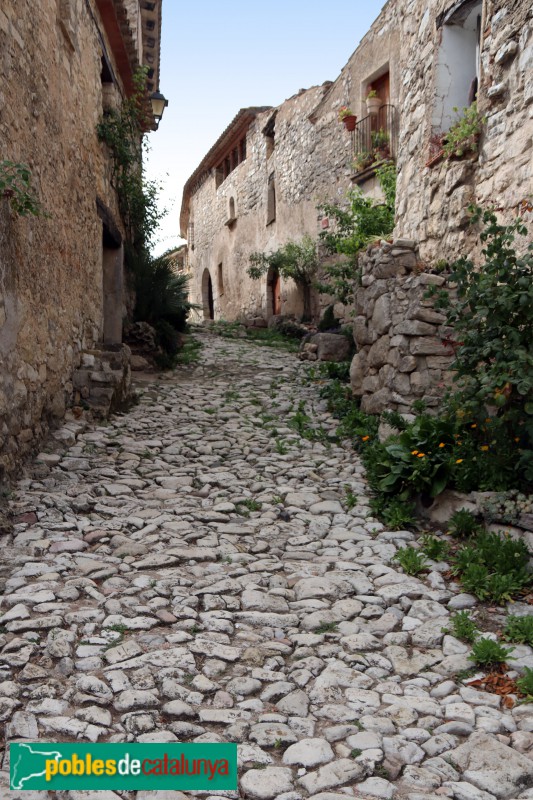 Mont-ral - Carrer Major de l'Aixàviga, amb la casa senyorial al fons (Foto: Albert Esteves, 2019) Mont-ral - Carrer Major de l'Aixàviga, amb la casa senyorial al fons