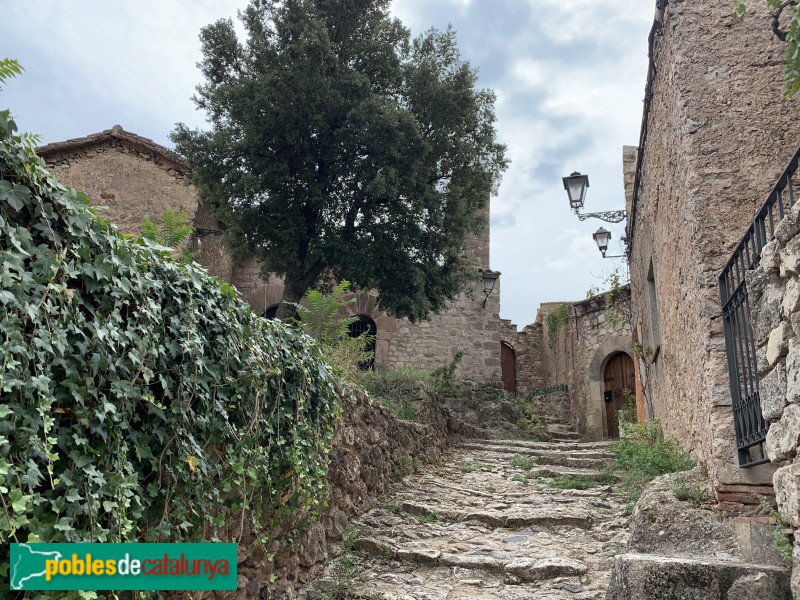 Mont-ral - Farena (Foto: Albert Esteves, 2019) Mont-ral - Farena