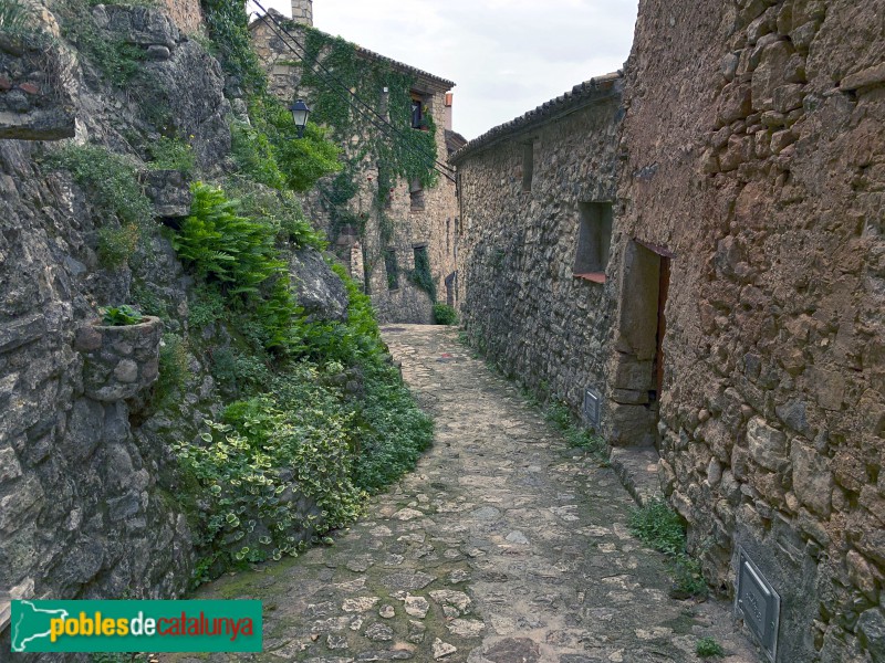 Mont-ral - Farena (Foto: Albert Esteves, 2019) Mont-ral - Farena
