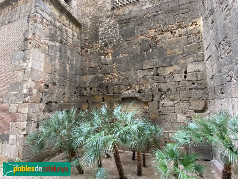 Barcelona - Muralles del carrer Sotstinent Navarro