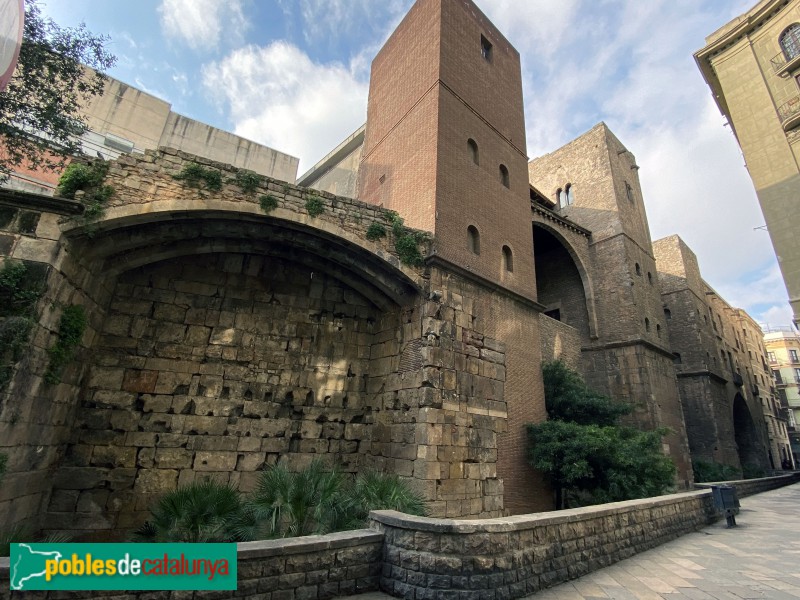 Barcelona - Muralles del carrer Sotstinent Navarro