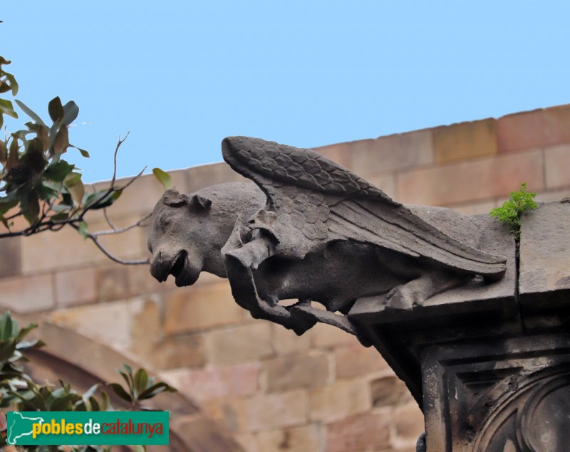 Barcelona - Catedral. Gàrgola del claustre