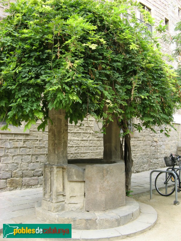 Barcelona - Hospital de la Santa Creu. Pou