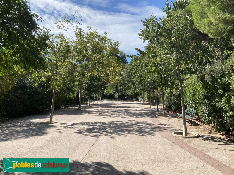 Barcelona - Jardins del Turó del Putxet (Foto: Albert Esteves, 2020) Barcelona - Jardins del Turó del Putxet