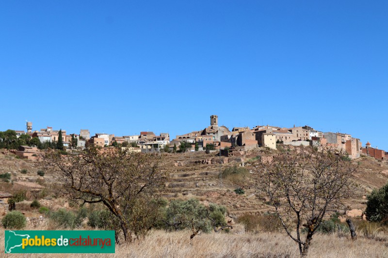 Panoràmica de Granyena de les Garrigues