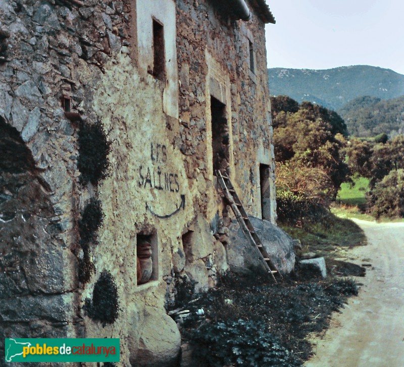 Maçanet de Cabrenys - Can Muntada, abans de la restauració