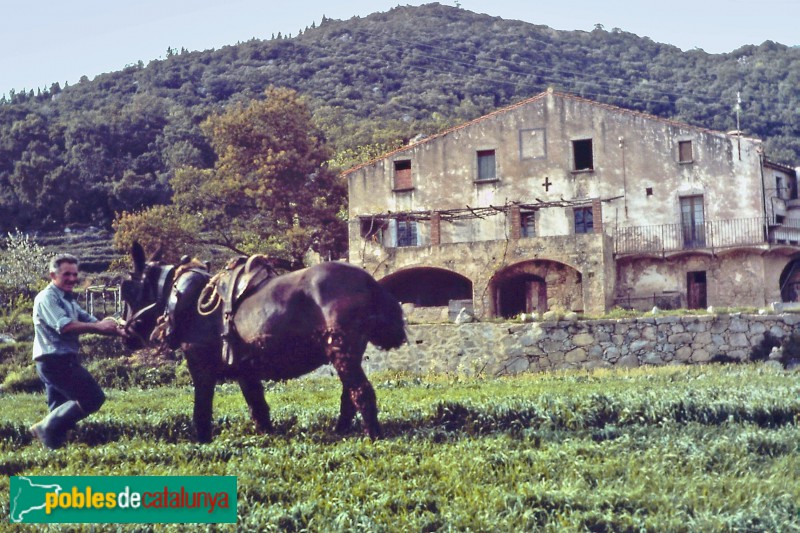 Maçanet de Cabrenys - Can Muntada, abans de la restauració