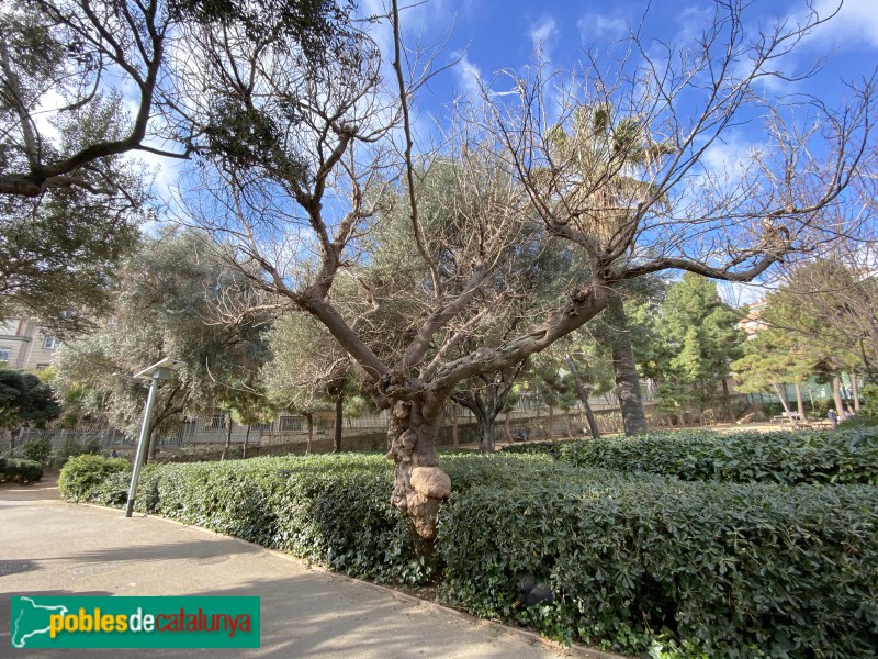 Barcelona - Parc de les Aigües