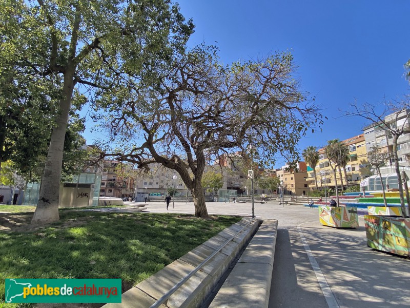 Barcelona - Plaça d'Àngel Pestaña