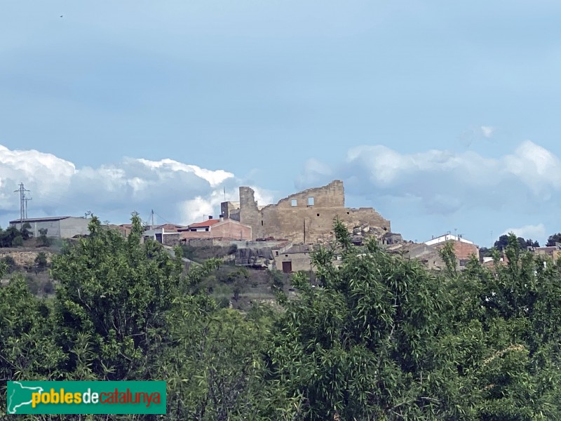 L'Albi - Castell