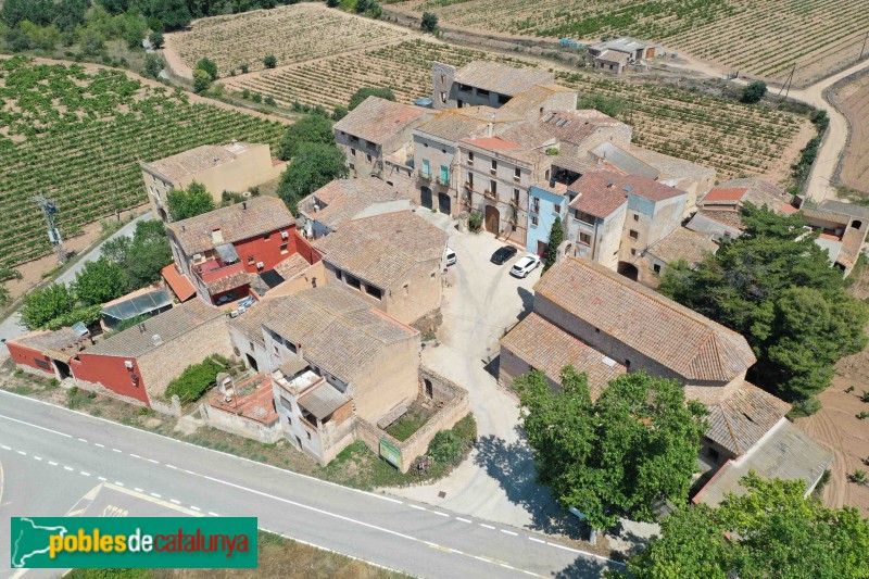Vila-rodona - Vilardida (Foto: Francesc Vidal-Barraquer, 2021) Vila-rodona - Vilardida