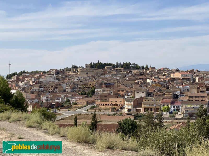 Panoràmica d'Arbeca