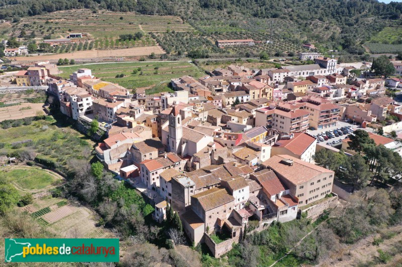 Valls - Picamoixons