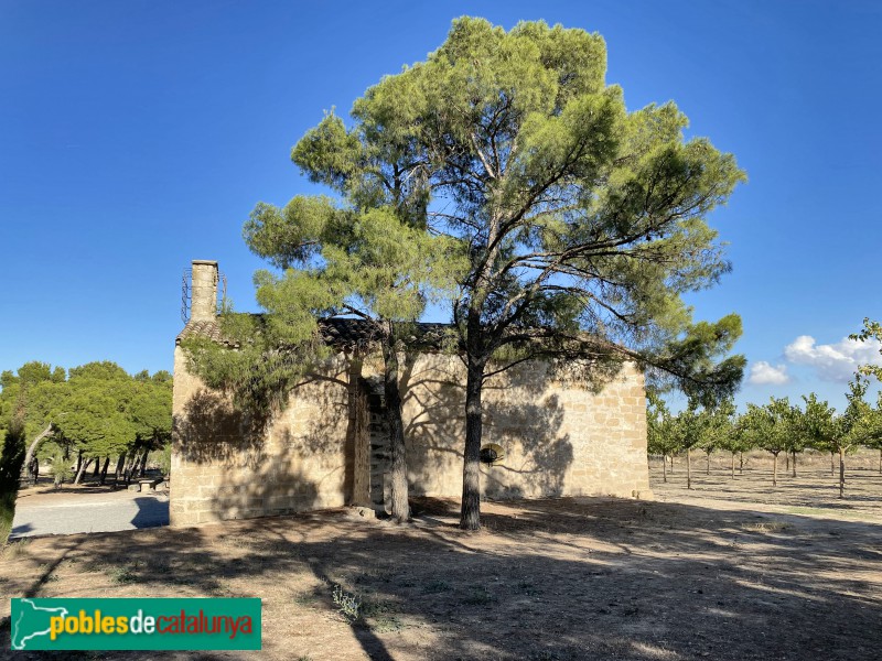 Les Borges Blanques - Ermita de Sant Salvador