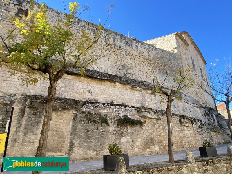 L'Espluga Calba - Castell (Foto: Albert Esteves, 2021) L'Espluga Calba - Castell