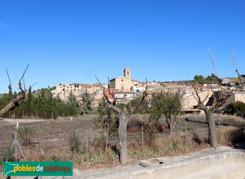 Panoràmica dels Omellons