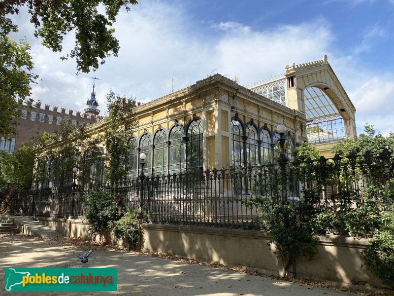 Barcelona - Parc de la Ciutadella. Hivernacle