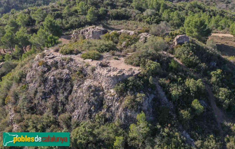 Albinyana - Restes del castell de l'Esquernosa