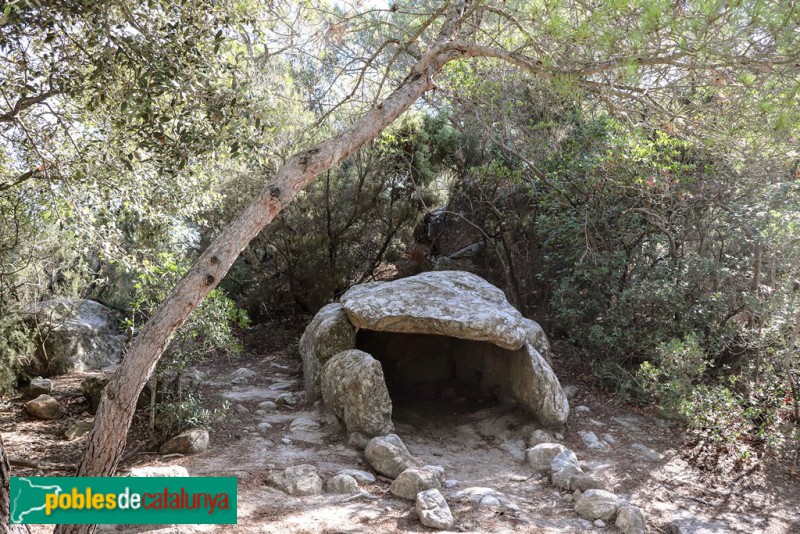 La Roca del Vallès - Dolmen de Cèllecs (Cabana del Moro)