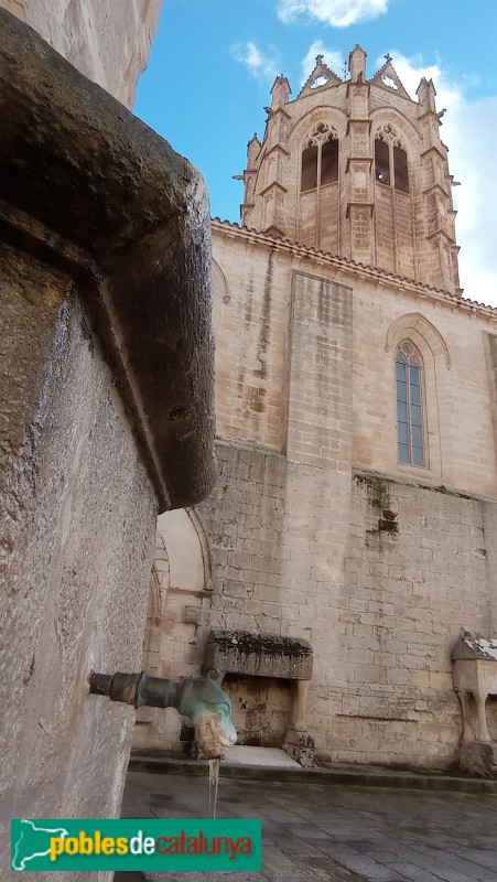 Vallbona de les Monges - Monestir de Santa Maria