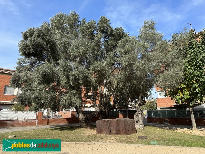 Parets del Vallès - Monument a l'Onze de Setembre