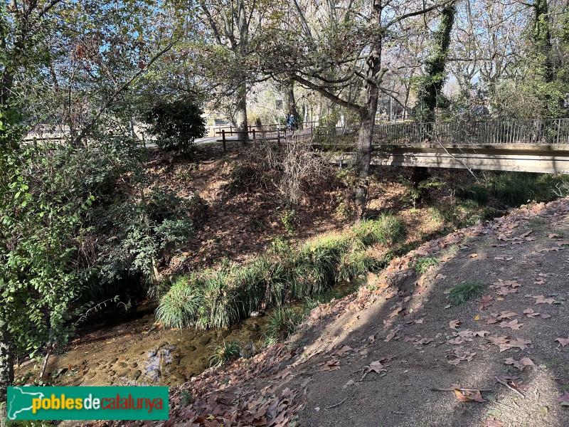 Cardedeu - Parc dels Pinetons (Foto: Albert Esteves, 2022) Cardedeu - Parc dels Pinetons