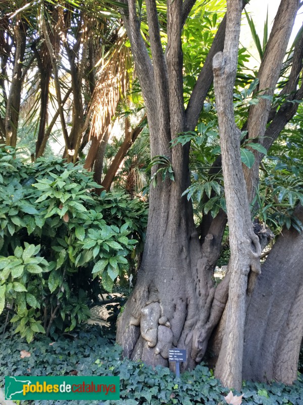 Barcelona - Universitat de Barcelona. Jardins