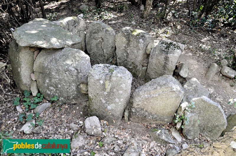 Vallromanes - Dolmen de Can Gurri