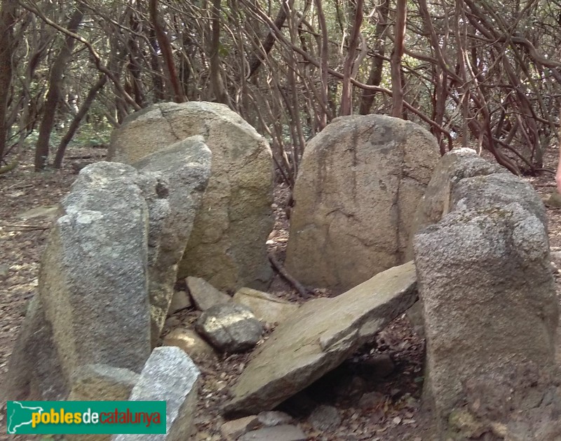 Vallromanes - Dolmen de Can Gurri