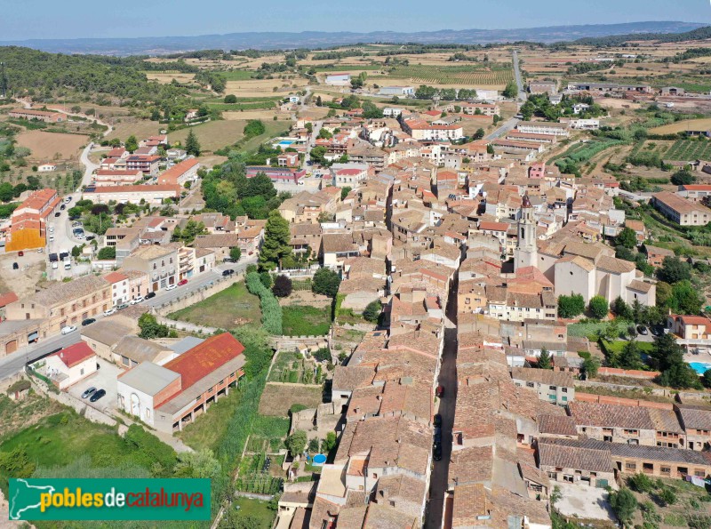 Cabra del Camp - El poble, amb l'església al fons