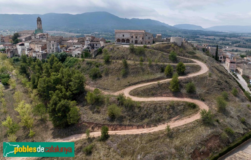 Barberà de la Conca - Castell de Barberà