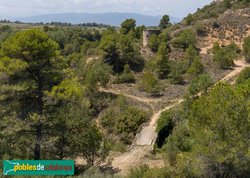 Sarral - Sant Pere d'Anguera (Foto: Francesc Vidal-Barraquer, 2023) Sarral - Sant Pere d'Anguera