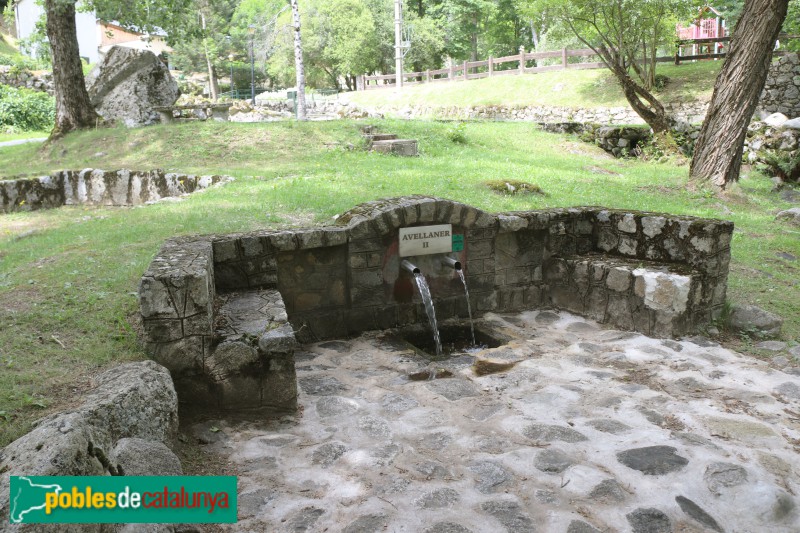 Boí - Caldes de Boí. Font de l'Avellaner II (Foto: Albert Esteves, 2023) Boí - Caldes de Boí. Font de l'Avellaner II