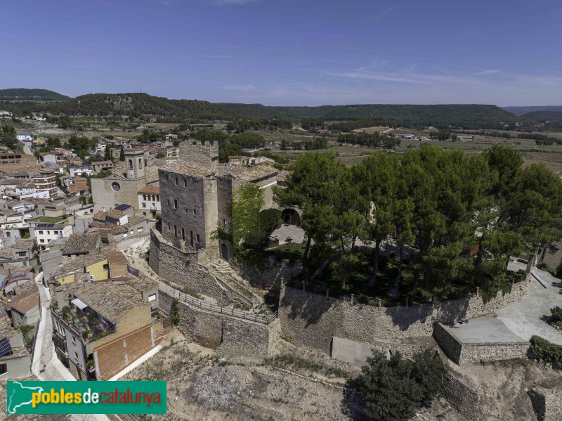 Sant Martí de Tous - Castell i església