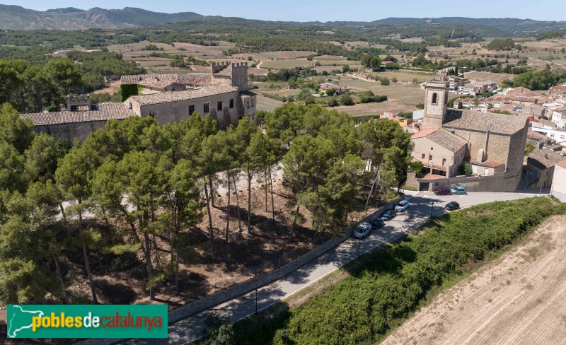 Sant Martí de Tous - Castell i església