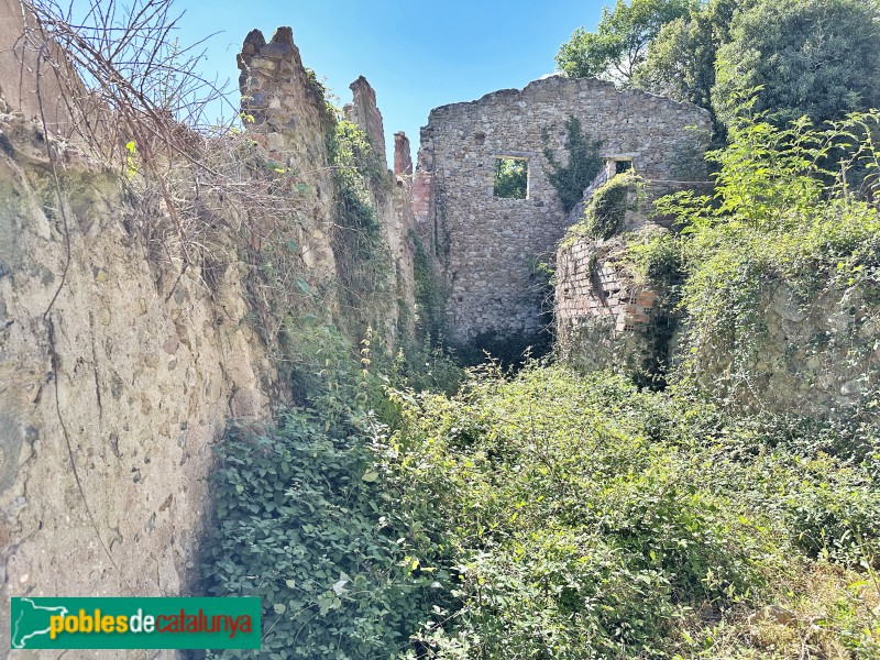 Casa enrunada a Pinyana