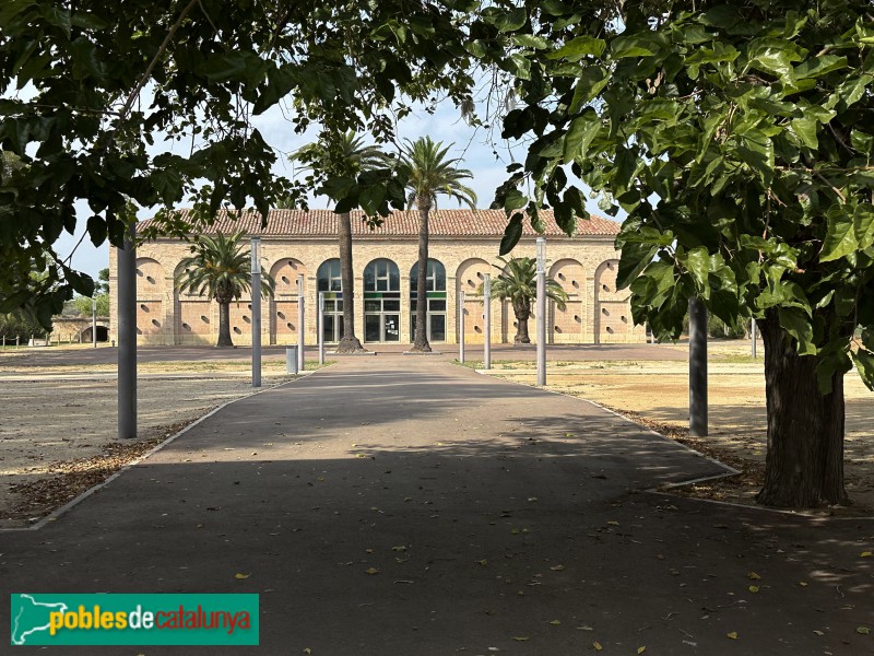 La Ràpita - Museu de la Mar de l’Ebre