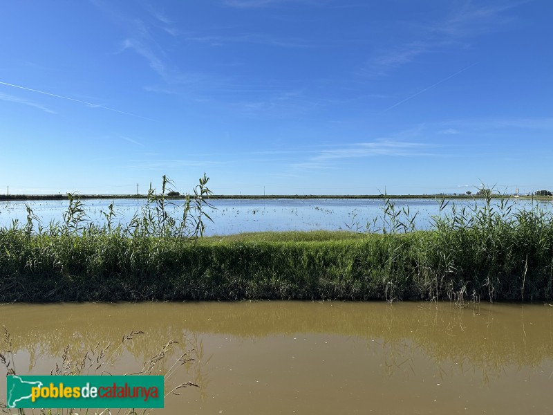 Sant Jaume d'Enveja - Sèquia del Riet i arrossars als Muntells