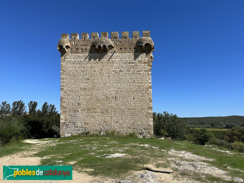 Amposta - Torre de la Carrova