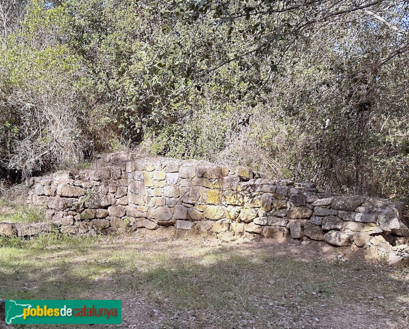 Vallgorguina - Restes de l'església de Sant Genís de Tapioles