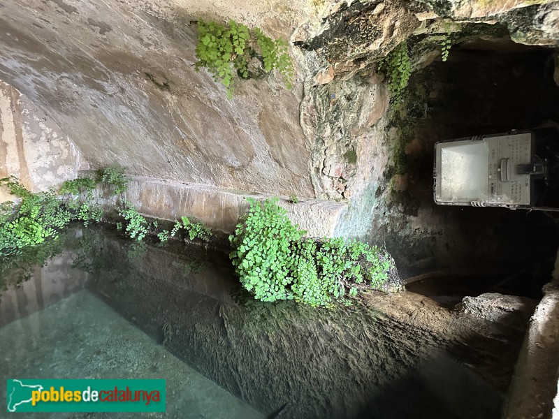 La Sénia - Font del Carrer del Carme