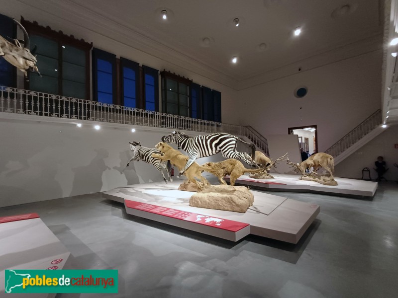 Barcelona - Parc de la Ciutadella. Museu de Geologia