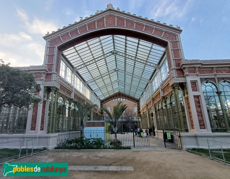 Barcelona - Parc de la Ciutadella. Hivernacle